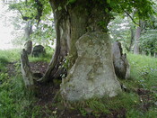 NC80SW0004 - EM4.JPG