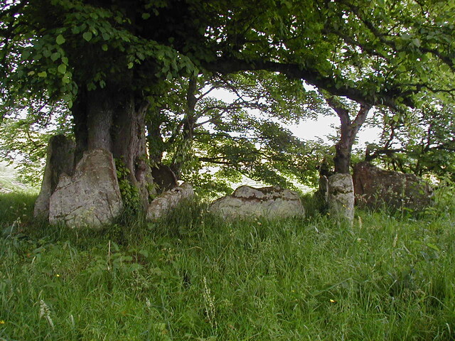 NC80SW0004 - EM5.JPG
