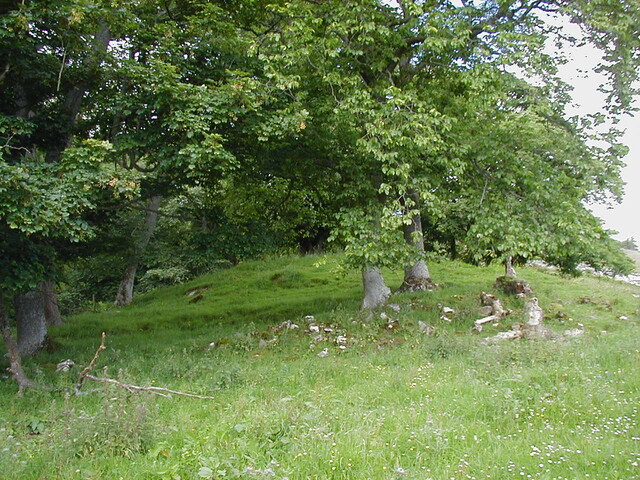 NC80SW0004 - EM7.JPG