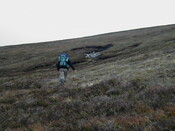 NC81SE0016 - Wellington 01.JPG