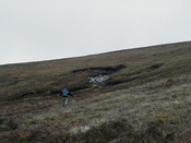NC81SE0016 - Wellington 02.JPG