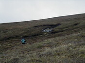 NC81SE0016 - Wellington 03.JPG