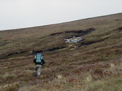NC81SE0016 - Wellington 04.JPG