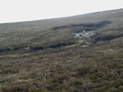 NC81SE0016 - Wellington 05.JPG