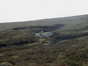 NC81SE0016 - Wellington 07.JPG