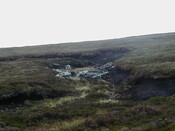 NC81SE0016 - Wellington 08.JPG