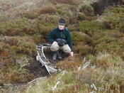 NC81SE0016 - Wellington 10.JPG