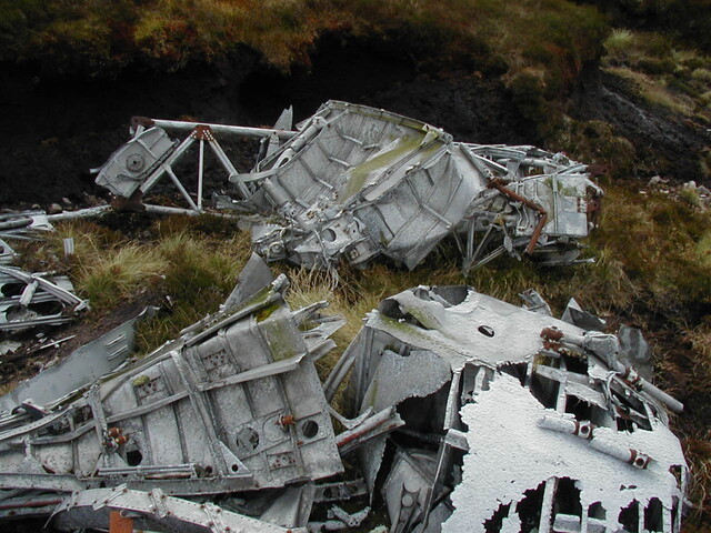 NC81SE0016 - Wellington 12.JPG