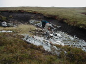 NC81SE0016 - Wellington 13.JPG