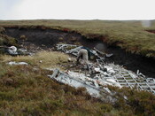 NC81SE0016 - Wellington 14.JPG