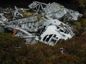 NC81SE0016 - Wellington 16.JPG