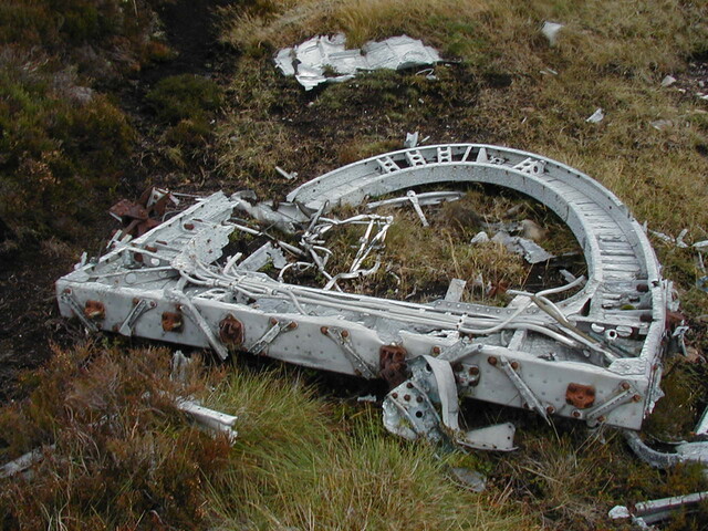 NC81SE0016 - Wellington 17.JPG