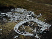 NC81SE0016 - Wellington 18.JPG