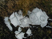 NC81SE0016 - Wellington 19.JPG