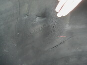 NC81SE0016 - Wellington 24.JPG