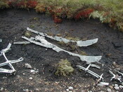 NC81SE0016 - Wellington 27.JPG