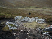 NC81SE0016 - Wellington 29.JPG