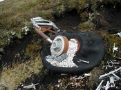 NC81SE0016 - Wellington 32.JPG