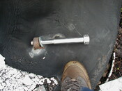 NC81SE0016 - Wellington 33.JPG