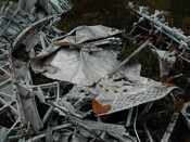 NC81SE0016 - Wellington 35.JPG