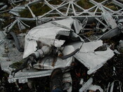 NC81SE0016 - Wellington 36.JPG