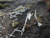 NC81SE0016 - Wellington 38.JPG