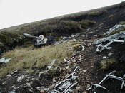 NC81SE0016 - Wellington 39.JPG