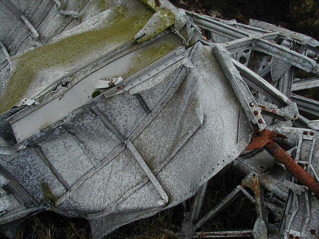 NC81SE0016 - Wellington 43.JPG