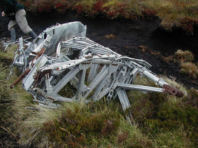 NC81SE0016 - Wellington 44.JPG