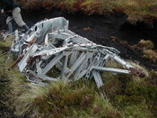 NC81SE0016 - Wellington 44.JPG