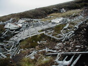 NC81SE0016 - Wellington 45.JPG