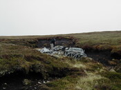 NC81SE0016 - Wellington 48.JPG
