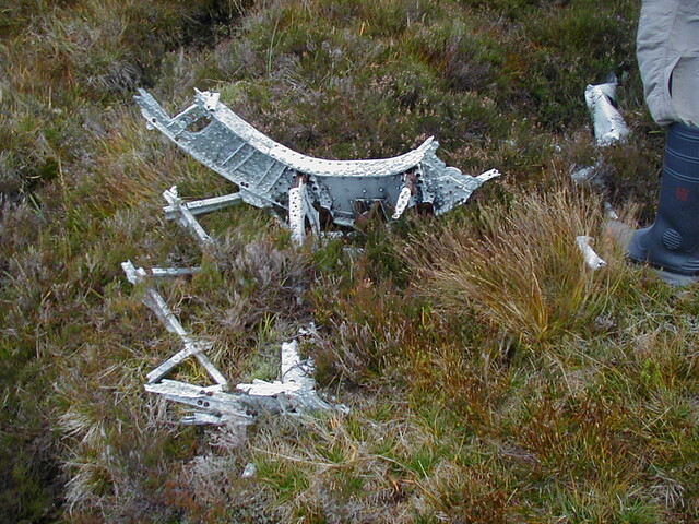 NC81SE0016 - Wellington 51.JPG