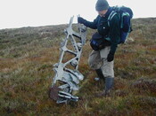 NC81SE0016 - Wellington 53.JPG