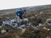 NC81SE0016 - Wellington 54.JPG