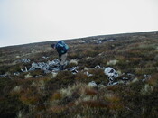 NC81SE0016 - Wellington 55.JPG