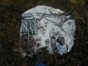 NC81SE0016 - Wellington 56.JPG