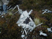 NC81SE0016 - Wellington 58.JPG