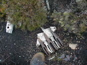 NC81SE0016 - Wellington 59.JPG