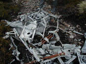NC81SE0016 - Wellington 60.JPG
