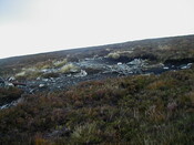 NC81SE0016 - Wellington 62.JPG