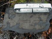 NC81SE0016 - Wellington 63.JPG