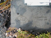 NC81SE0016 - Wellington 64.JPG