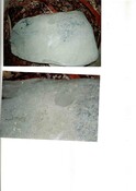 ND12NE0042CP01.pdf