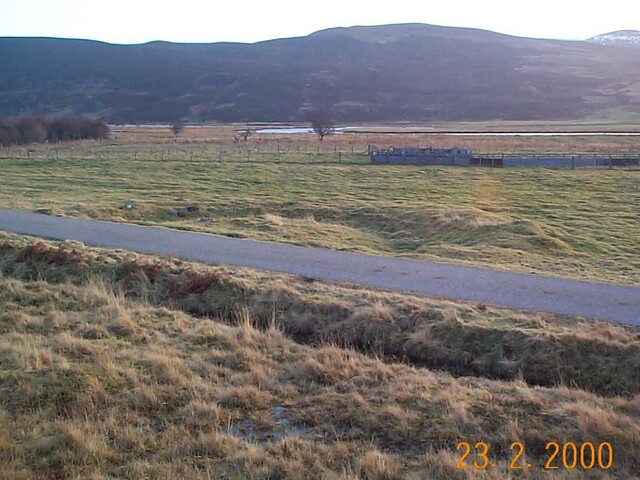 NC81SW0004.jpg
