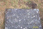 NC81SW0008b.jpg