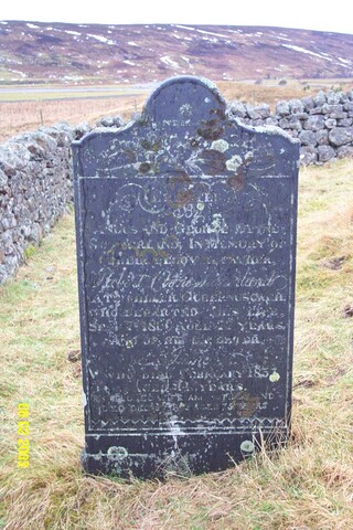 NC81SW0008c.jpg