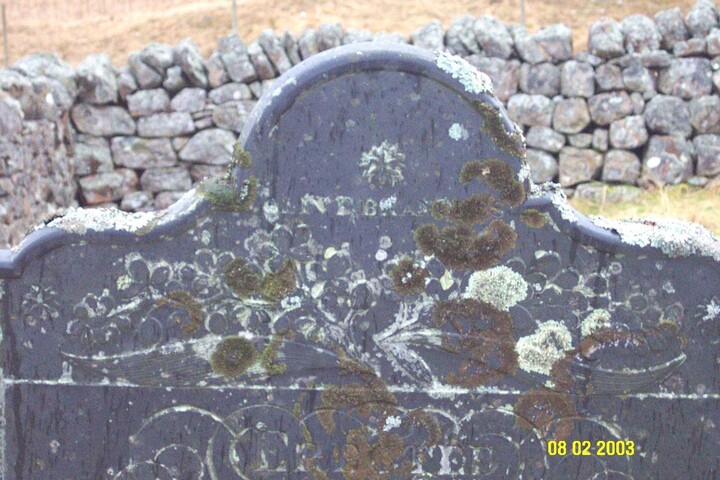 NC81SW0008d.jpg