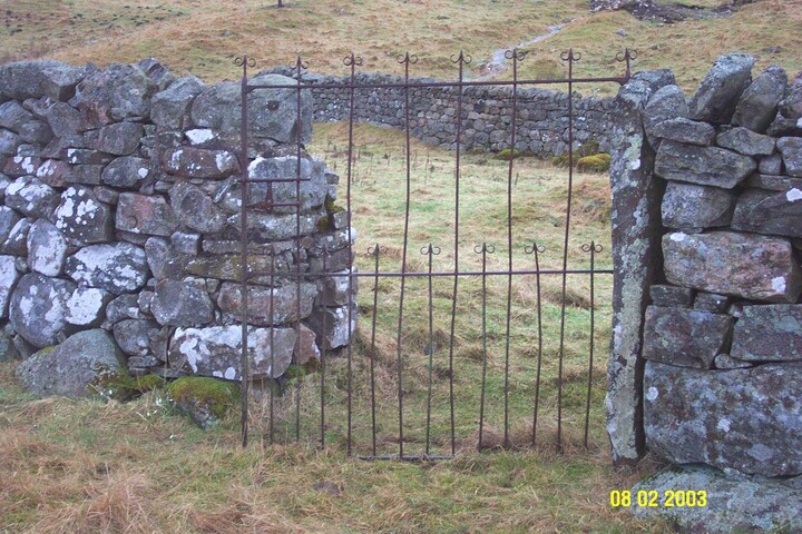 NC81SW0008i.jpg