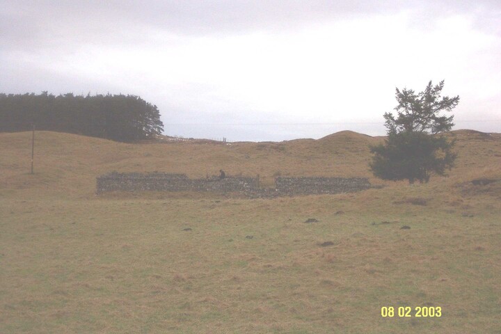 NC81SW0008r.jpg